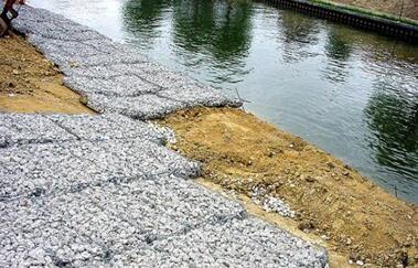 雷諾護墊.jpg 雷諾護墊.jpg