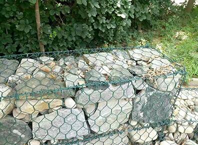 生態石籠網 生態石籠網