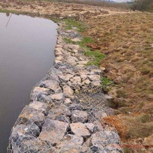 timg (15).jpg timg (15).jpg