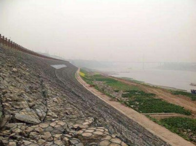 timg (24).jpg timg (24).jpg