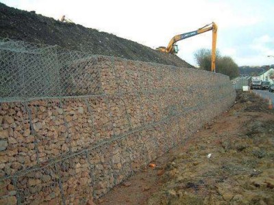 timg (7).jpg timg (7).jpg