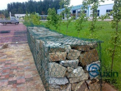 timg (25).jpg timg (25).jpg