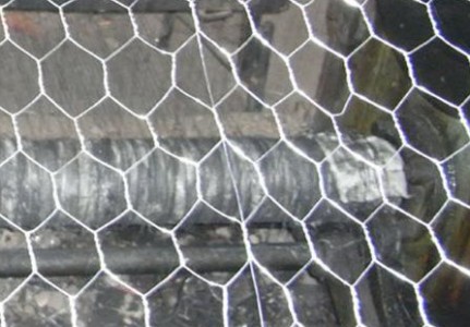 飛鴿截圖20181114170250.jpg 飛鴿截圖20181114170250.jpg