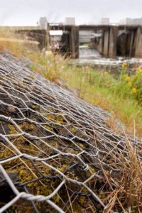 timg (39).jpg timg (39).jpg