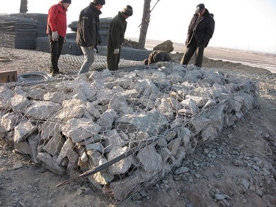 slw-10.jpg slw-10.jpg