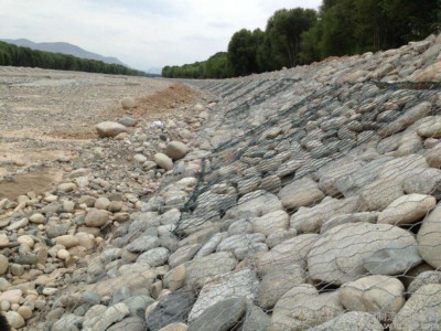 timg (20).jpg timg (20).jpg